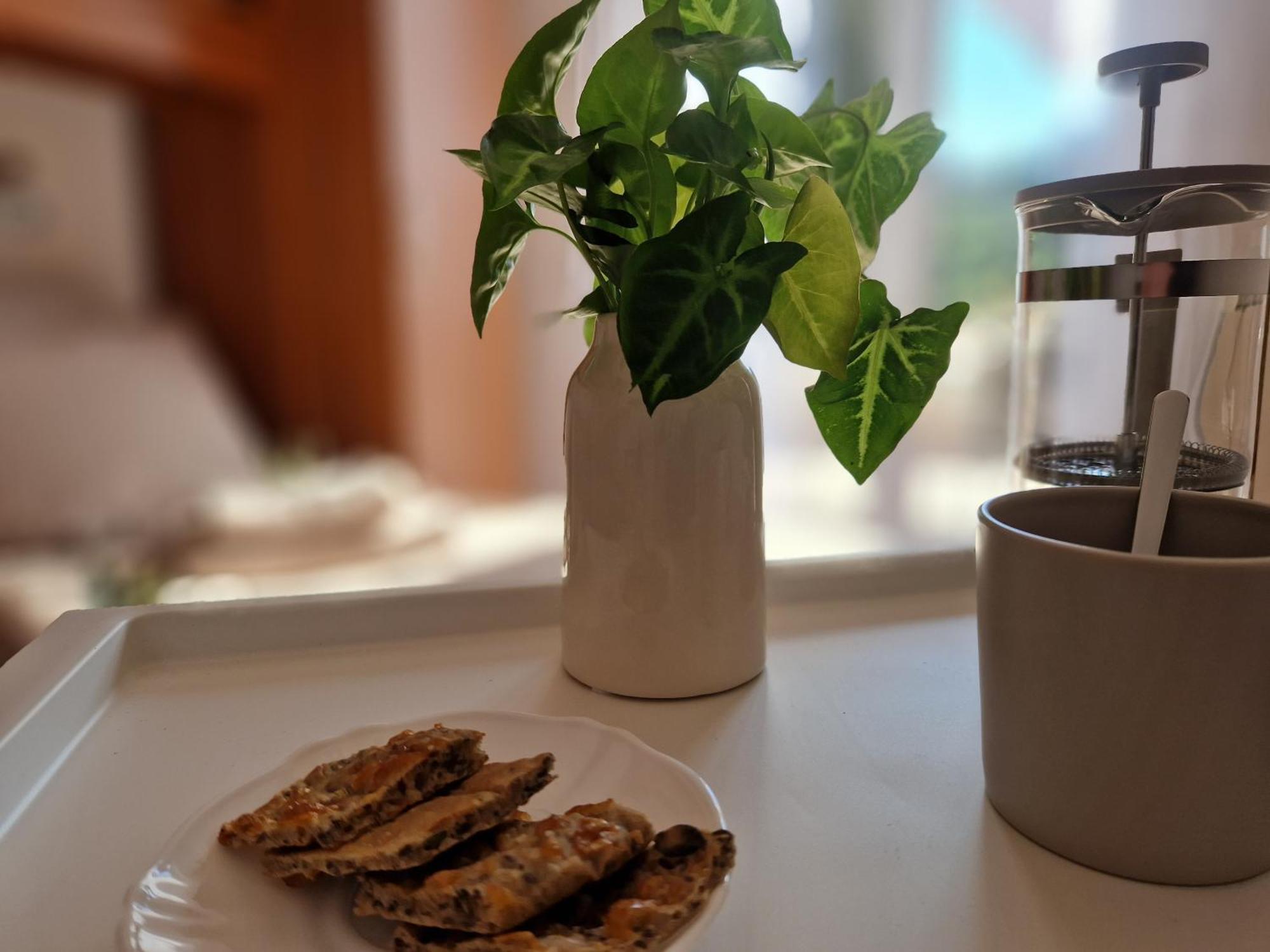 House Olive Garden Strunjan Apartment ภายนอก รูปภาพ